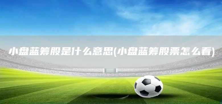 小盤(pán)藍(lán)籌股是什么意思(小盤(pán)藍(lán)籌股票怎么看)(圖1)
